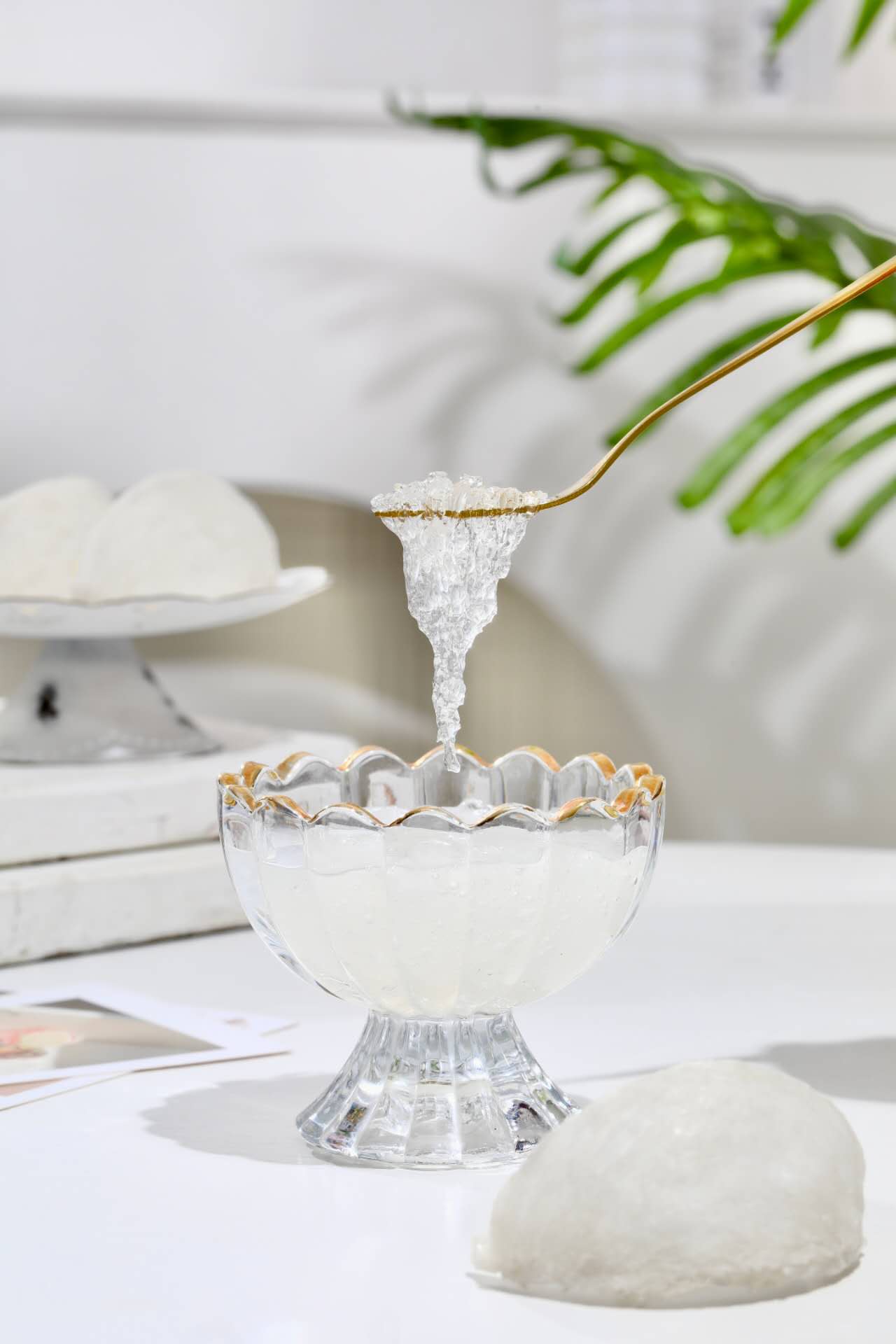Premium Large Bird’s Nest | Perfect for Gifting & Maternity Wellness